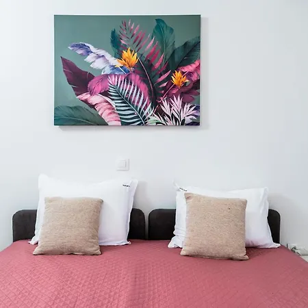Cozy And Functional Business One-bedroom