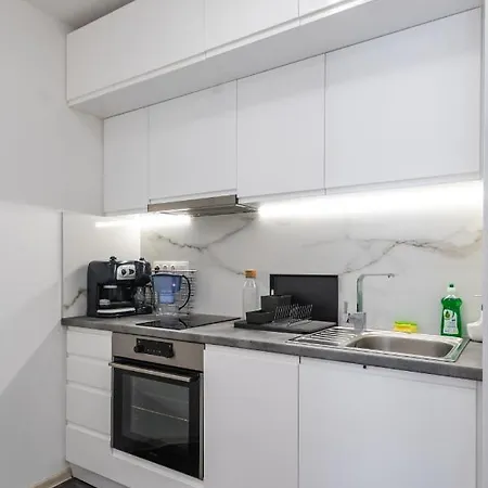 Apartment Cozy And Functional Business One-bedroom